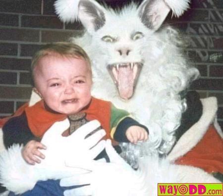 funny_pictures_evil_easter_bunny_16p_1175843563.jpg
