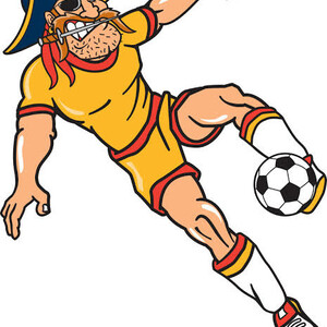 Player 90006296